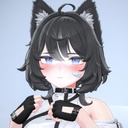 NapewnoNieAoi-Velle-0.1.0 icon