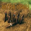 Neobotics-BetterStakes-0.1.1 icon
