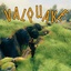 Neobotics-Valquake-0.1.5 icon