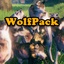 Neobotics-WolfPack-1.0.5 icon