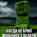 NewPicun-Picunf6Ru icon