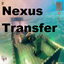 NexusTransfer-ValheimRAFT-1.4.5 icon