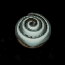 Nhoj1000-CinnasBun-1.0.0 icon