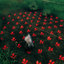 NoPetRides-CropUtils-1.3.0 icon