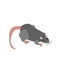 NoirSplash-Ratpack_Suit_Expansion-1.0.0 icon