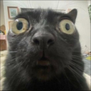 Noob_PRO-ProModpackForNoobs icon