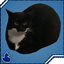 Not_Wolfie-Maxwell-2.0.0 icon