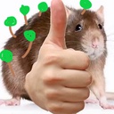 NuketronSweep-7_FOOT_CARDS_NATURE-1.2.2 icon
