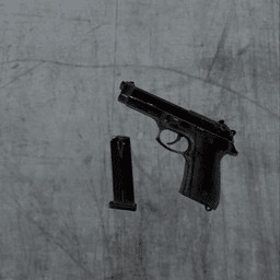 Nut-M9_Berreta icon