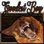 OdinPlus-GoodestBoy-0.3.2 icon