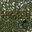 OdinPlus-HedgeWalls-1.0.6 icon