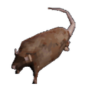 Okudai-loeb-1.0.0 icon
