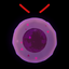 Omniscye-Magic_Orbs-1.0.0 icon