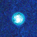 Omniscye-Pocket_Dimension_Cart-1.6.6 icon