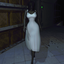 Omniscye-Zora_Enemy-1.0.2 icon