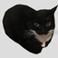 Oni_Hazza-ToyRobot_MaxwellTheme-1.1.2 icon