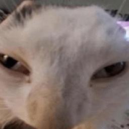 Oofy_Goober-Goofiest_Goobers_Modpack icon