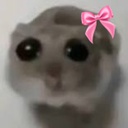 Oopy-Cringe_Crew_Music icon