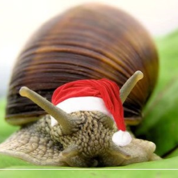 PainKanashii-SoThisIsImmortalSnail icon