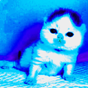 PascalitoLtlsTeam-PascalitoLtlsCosmeticsPack icon