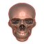 Phreel-DeathsRegardsRevived-1.0.2 icon