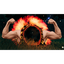 Pineapple-IndestructiblePortals-1.0.1 icon