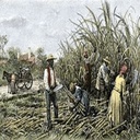Plantation-RyoshisModpack icon