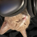 Podcat-PodcatInsanty icon