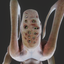 ProjectSCP-HeavyItemSCPs-1.2.0 icon