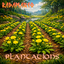 Radamanto-Plantations-1.0.1 icon