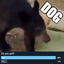 RaptureAwaits-CanIPetThatDog-1.0.0 icon
