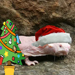 Rattenbonkers-RatMusic_Christmas_Songs icon
