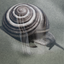 RealFakeSoof-BurningMemoryOfAnImmortalSnail-1.0.0 icon