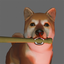 ReavsStuff-ShibaBatInu-0.0.4 icon