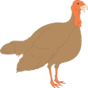 Rein-TurkeyMod icon