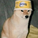 RiskOfDoge-Doge_Pack-1.69.69 icon
