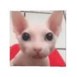 RobloxFan-LethalKittyCafe2 icon