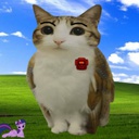 RoidVoid335-Intro_del_Gerente-1.4.0 icon