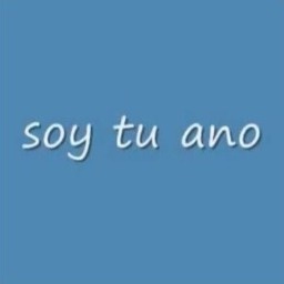 RoidVoid335-Soy_Tu_Ano icon