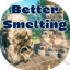 Ruijven-BetterSmelting-1.1.0 icon