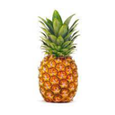 Ryvs_Realm-BibbyHorderBug icon