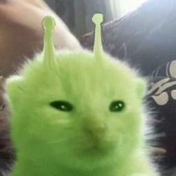 SIRENLUVCALL-songs_to_glorp_to icon