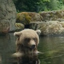 STANK-Grizz_21 icon