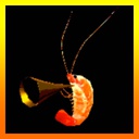SafeCharity-ShrimpleAsThat-1.2.0 icon