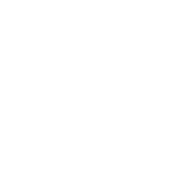 SatonoDian-R1KillSFX icon