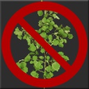 ScarletCore-NoGrass-1.0.2 icon