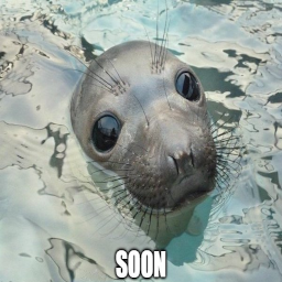 Sealos-Sealos icon