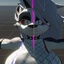 Shadowie-bikinilooka-0.1.0 icon