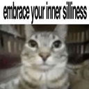SillynessTeam-TheSillyness icon