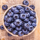 Skinwalker-Huckleberry icon